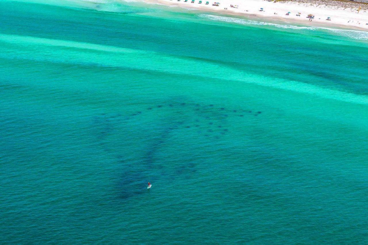 Stella Di Mare Villa Destin Bagian luar foto